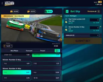 Virtual Races