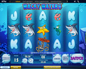 wacky waters