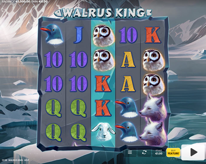 walrus king