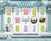 white buffalo