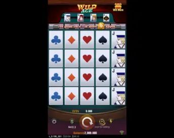 Wild Ace