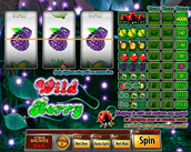 wild berry – 5 reels