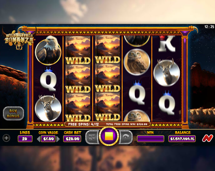wild buffalo bonanza
