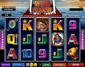 wild catch