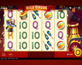 wild circus