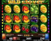 wild clover