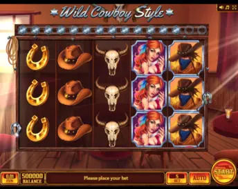 Wild Cowboy Style