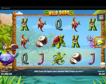 wild dodo