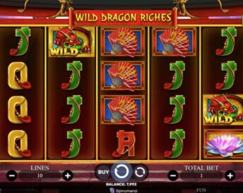 Wild Dragon Riches