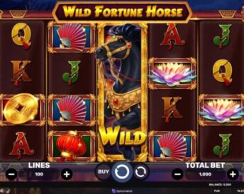 Wild Fortune Horse