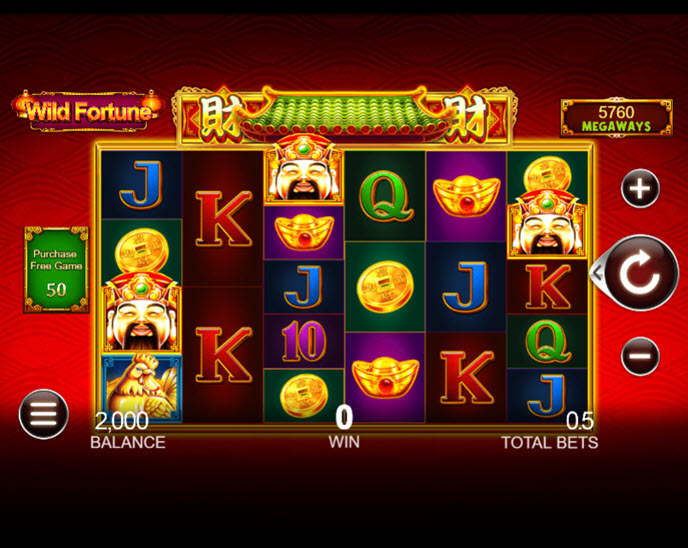 wild fortune