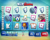 wild games