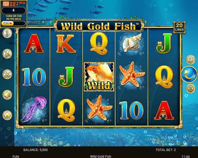 wild gold fish