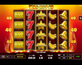 wild hot 40