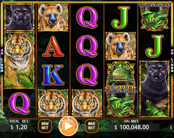 wild jungle