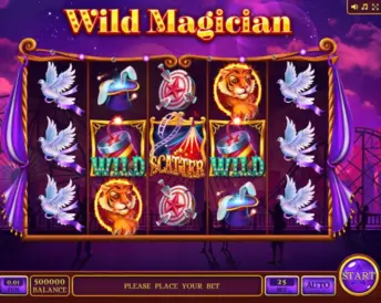 Wild Magician