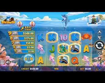 wild marlin! – big game fishing