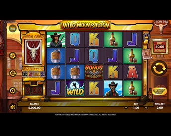 wild moon saloon
