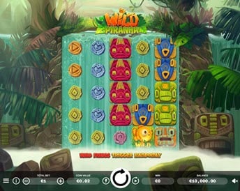 wild piranha