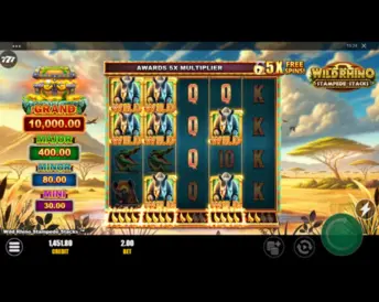 Wild Rhino Stampede Stacks