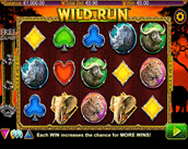wild run
