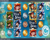 wild seas
