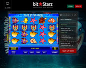 wild shark