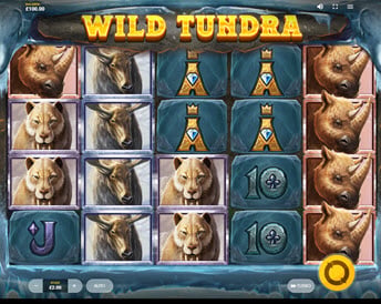 wild tundra