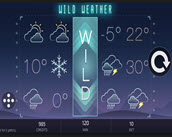 wild weather
