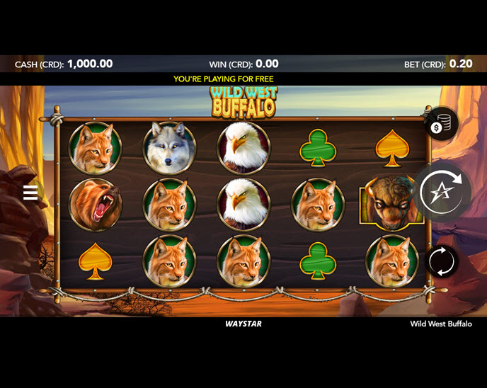 wild west buffalo