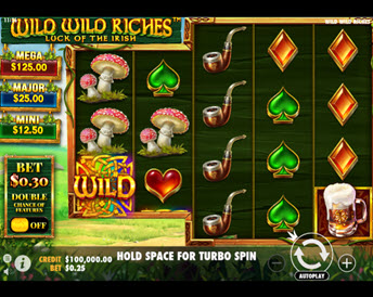 wild wild riches