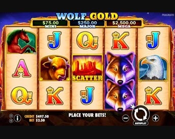 wolf gold
