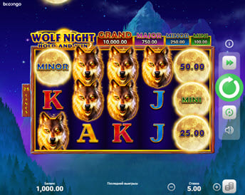 wolf night