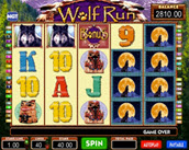 wolf run