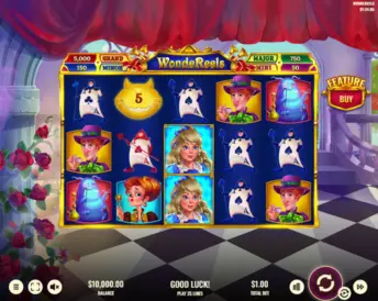 Wondereels