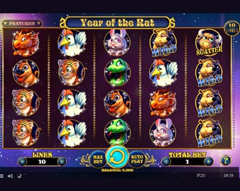 year of the rat