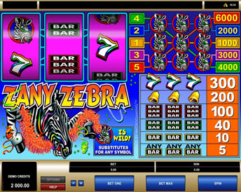 zany zebra